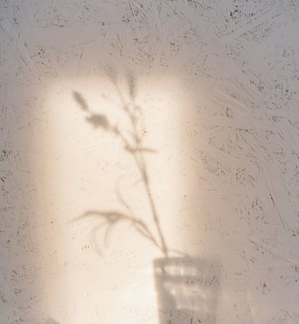 Silhouette of a person meditating against a background of abstract, calm light patterns.